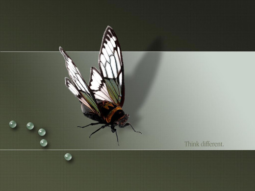 382106 (a): :1024x768